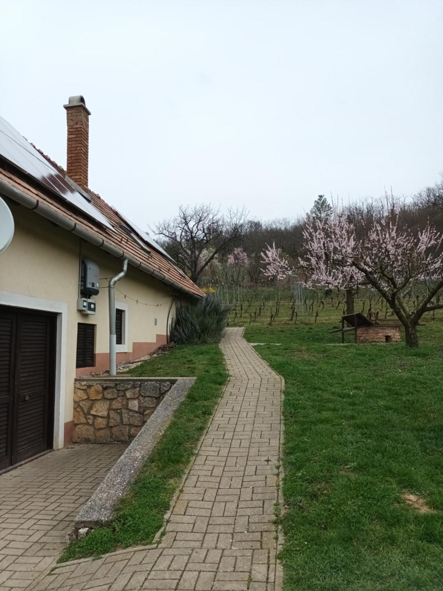 Keknefelejcs Vendeghaz Apartment Tapolca Exterior photo